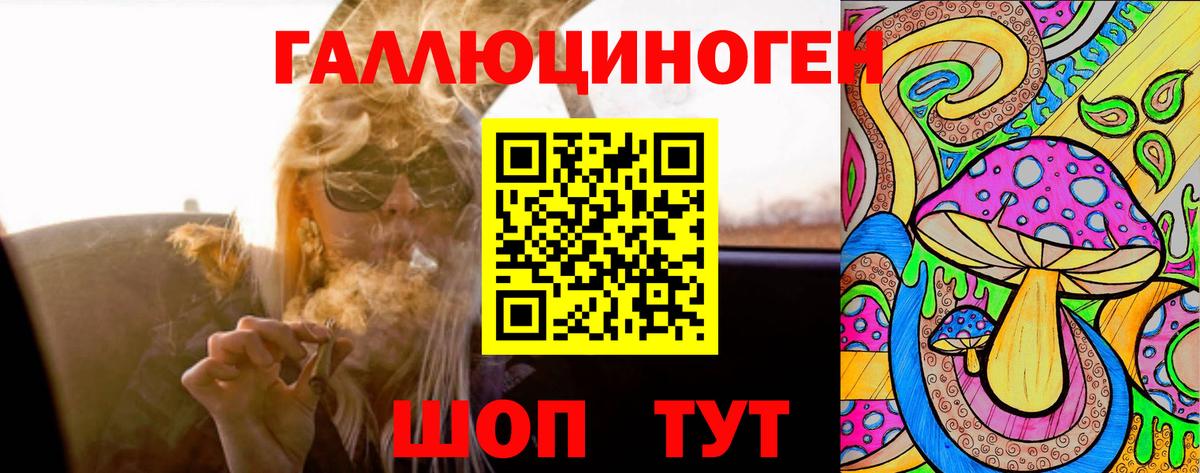 Галлюциногенные грибы GOLDEN TEACHER  Вход с VPN  где купить наркоту  Гудермес  Псилоцибиновые грибы Psilocybe 